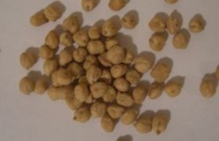 hummus chickpea